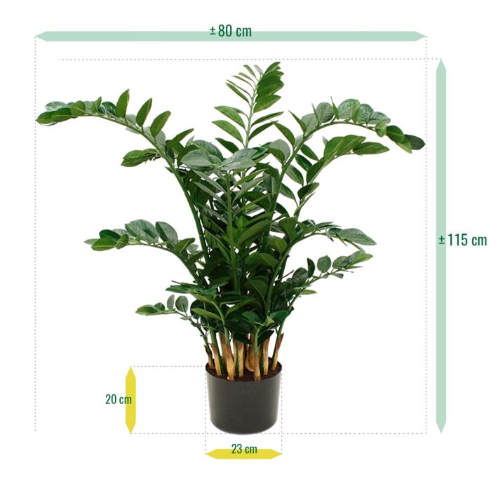 Zamioculcas XL kunstplant 120cm